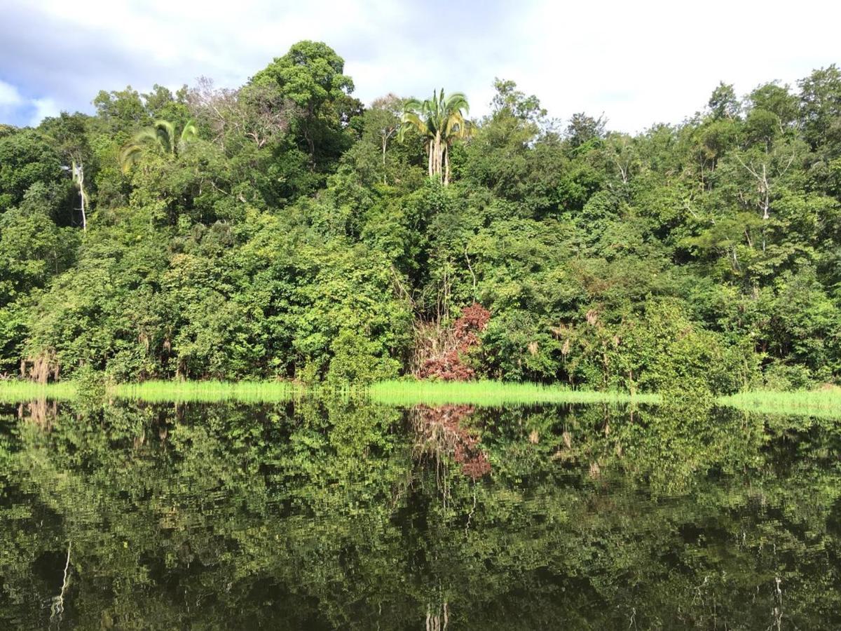 亚马逊金龙鱼小屋旅馆 Careiro 外观 照片