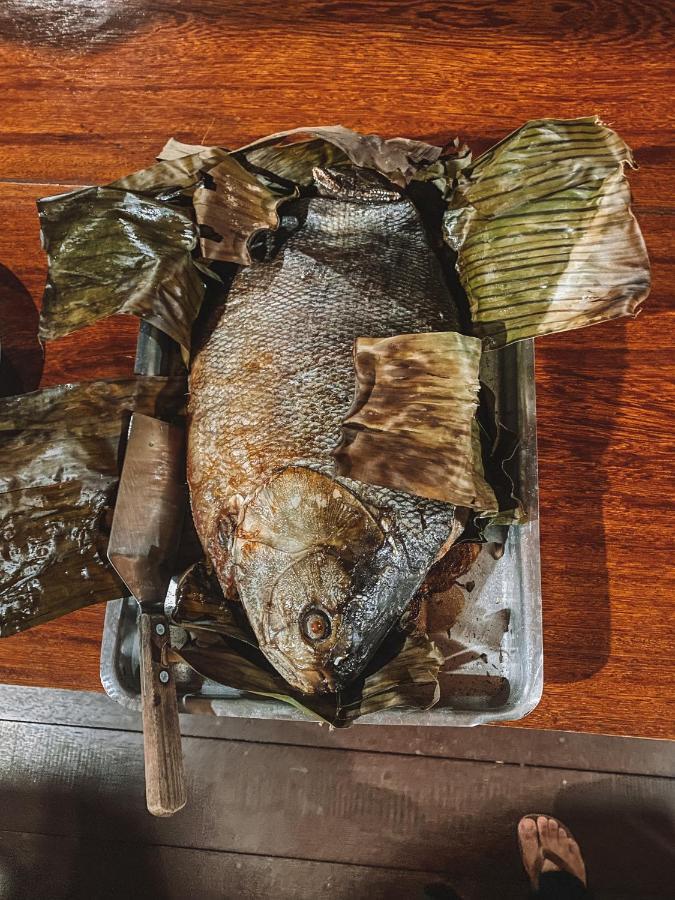亚马逊金龙鱼小屋旅馆 Careiro 外观 照片