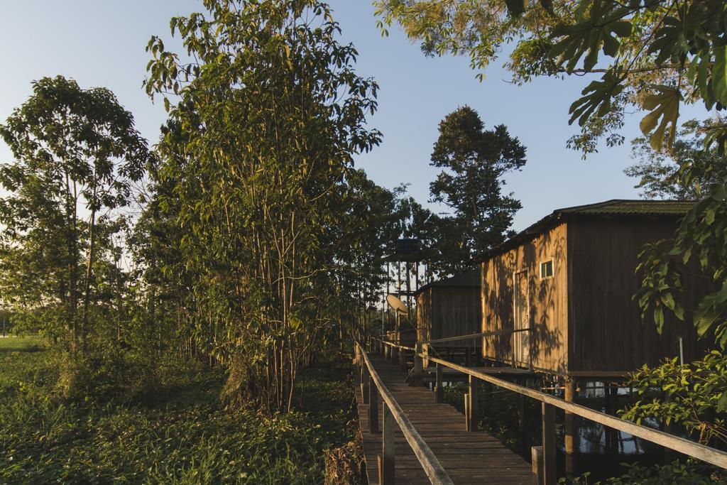 亚马逊金龙鱼小屋旅馆 Careiro 外观 照片