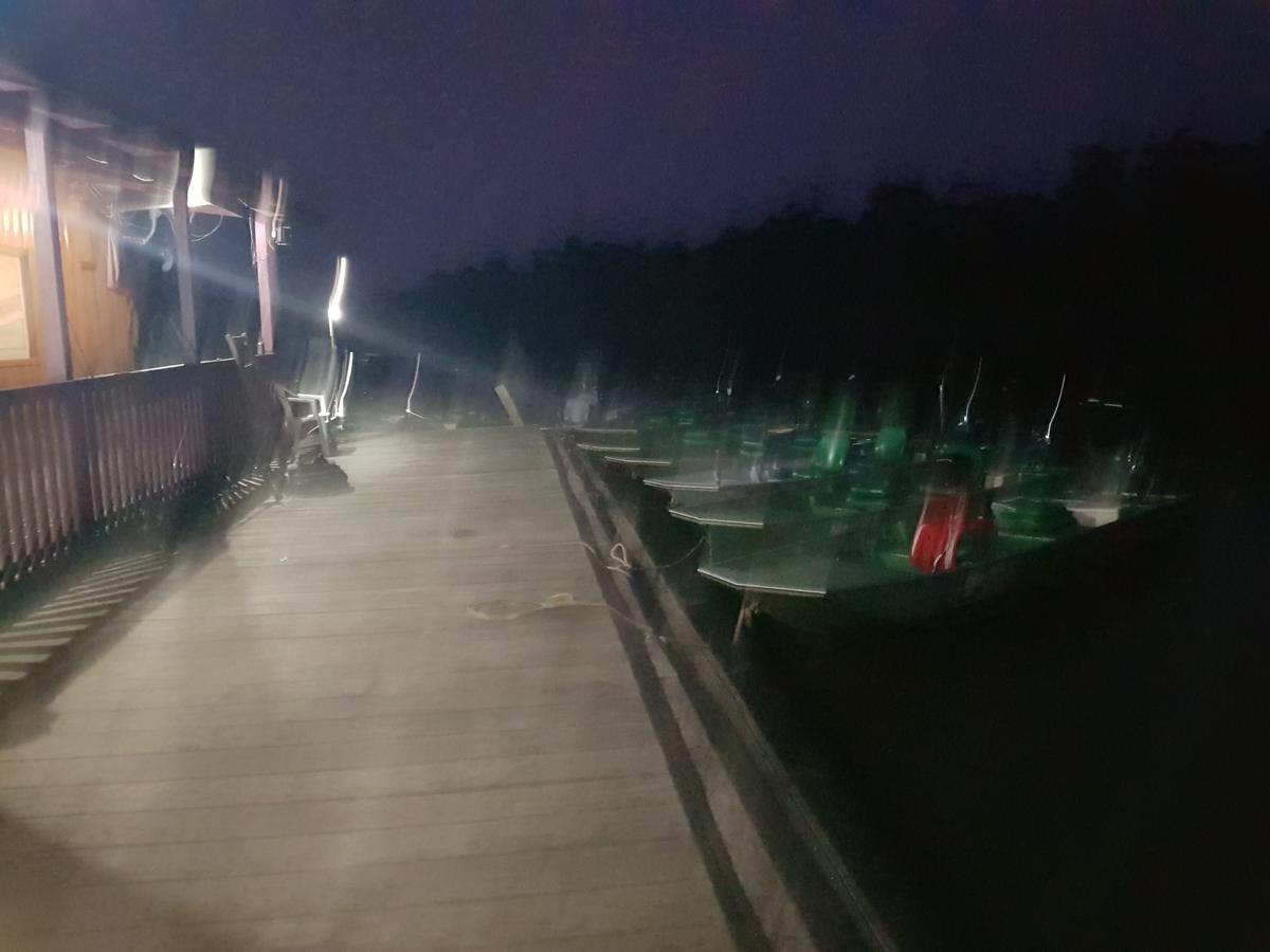 亚马逊金龙鱼小屋旅馆 Careiro 外观 照片